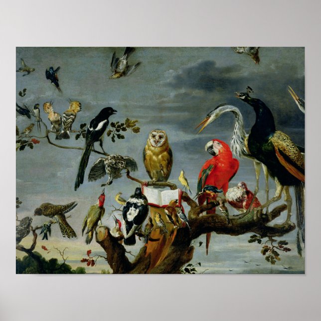 Affiches Concert d'oiseaux (Devant)