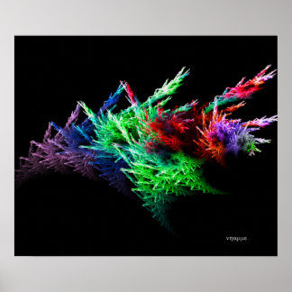 Affiches Concombre maritime 2