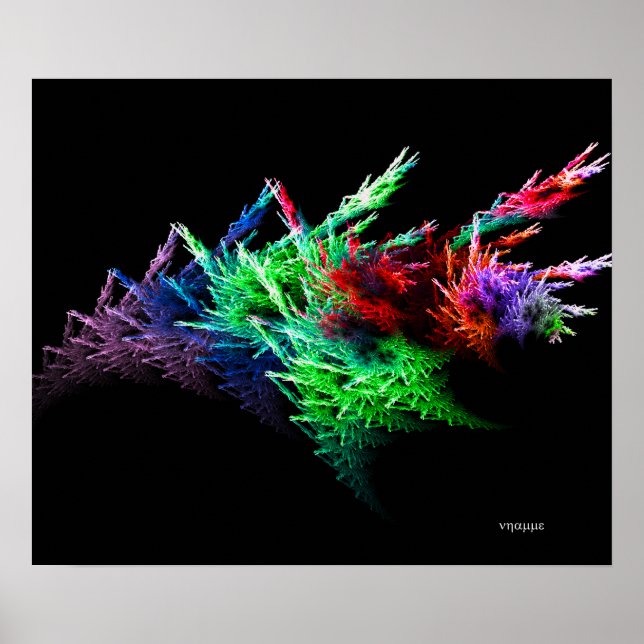 Affiches Concombre maritime 2 (Devant)