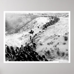 Affiches Conduire du bétail en hiver.