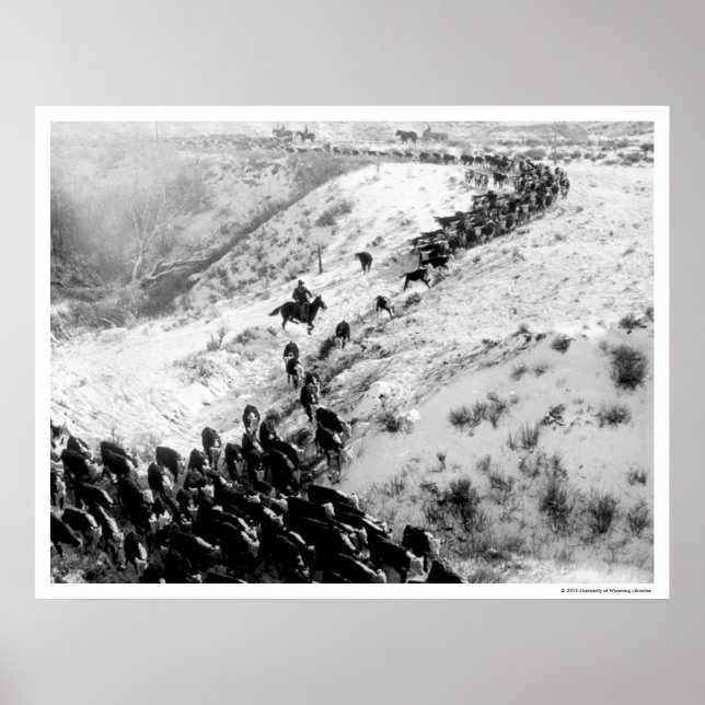 Affiches Conduire du bétail en hiver. (Devant)