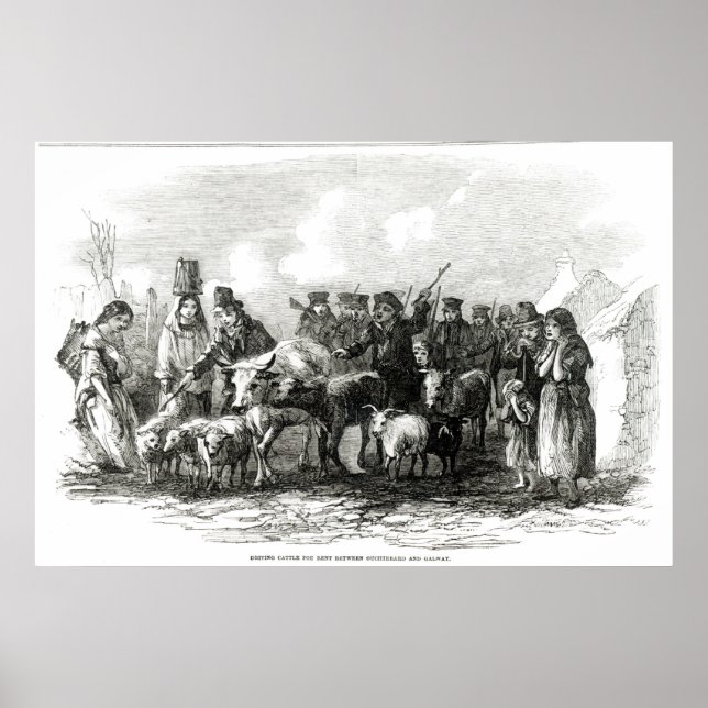 Affiches Conduite de bétail à louer (Devant)