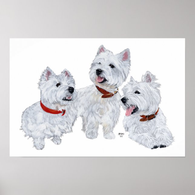 Affiches Conférence Westie (Devant)