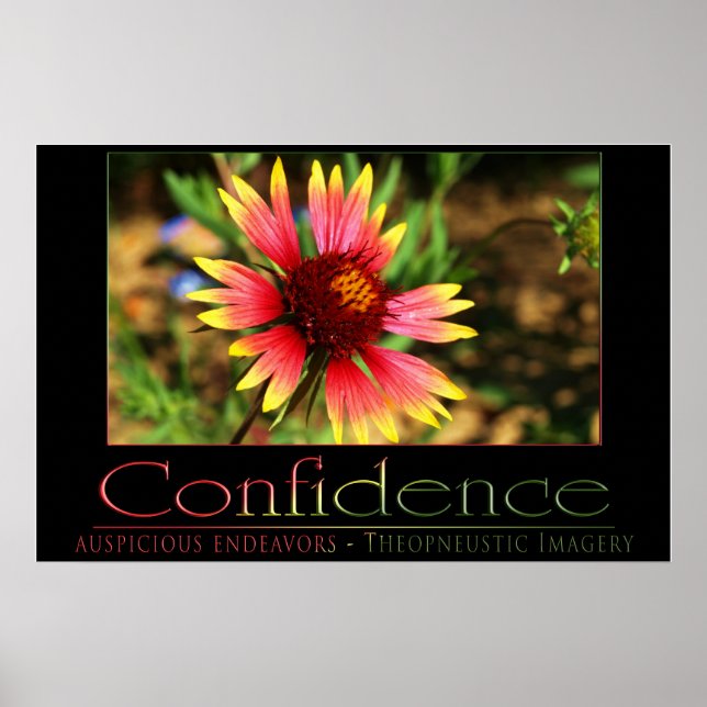 Affiches Confiance (Devant)