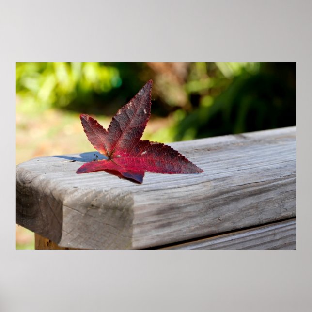 Affiches Congé d'automne (Devant)