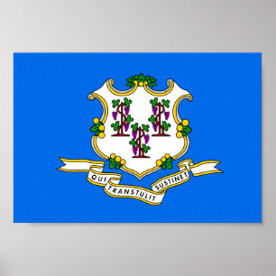 Affiches Connecticut Flag