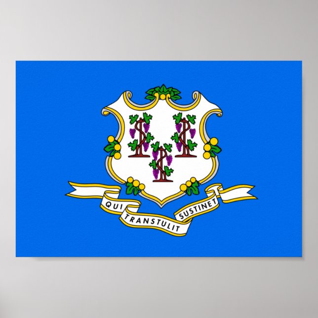 Affiches Connecticut Flag (Devant)