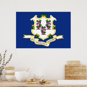 Affiches Connecticut State Flag