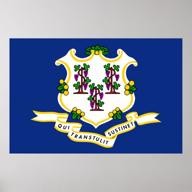 Affiches Connecticut State Flag (Devant)