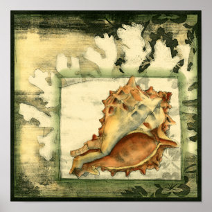 Affiches Conque Shell de silhouette