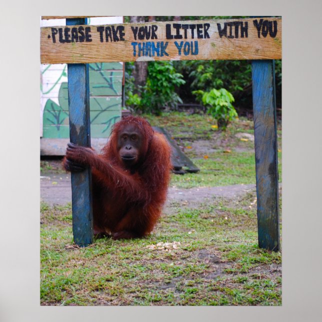 Affiches Conservation de la faune v Litter and Trash (Devant)