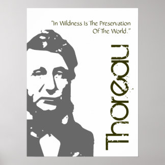 Affiches Conservation Thoreau De L'Affiche Mondiale