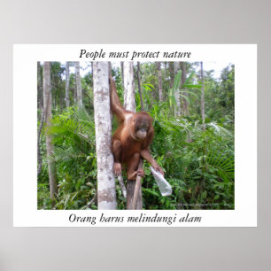 Affiches Conserver la faune de la nature