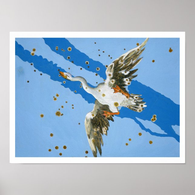 Affiches Constellation de Cygnus, de 'Uranometria' écrit (Devant)