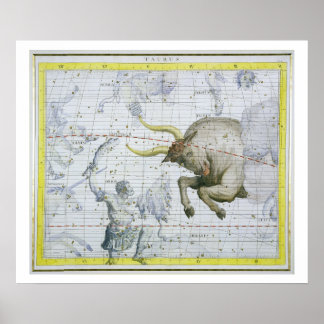 Affiches Constellation de Taurus, plaque 2 de 'Atlas Coele