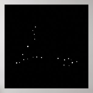 Affiches Constellation Pisces par Leslie Peppers