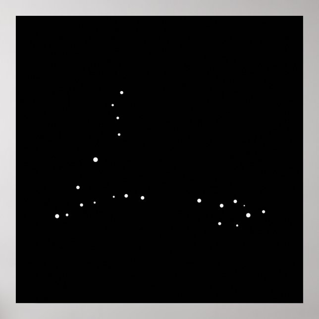 Affiches Constellation Pisces par Leslie Peppers (Devant)