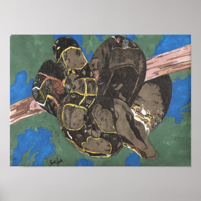 Affiches Constricteur Boa (Devant)