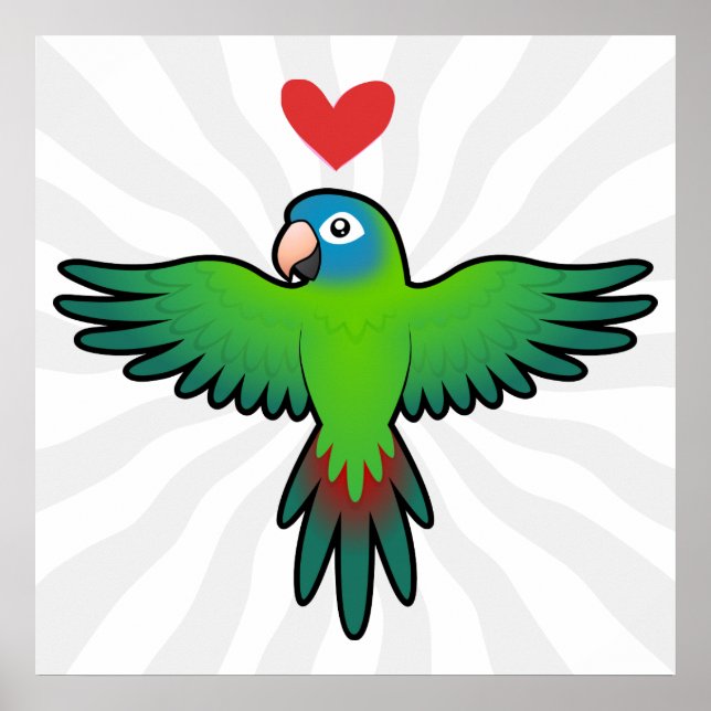 Affiches Conure / Lorikeet / Parrot Love (Devant)