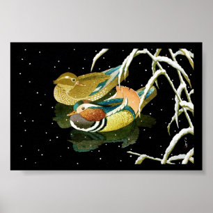Affiches Cool mandarina canard japonais noir étang neige