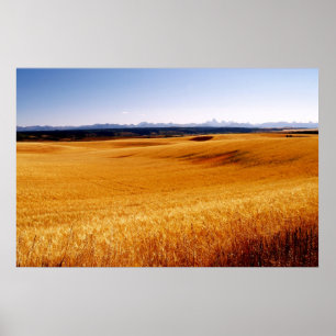 Affiches Copie ambre de vagues