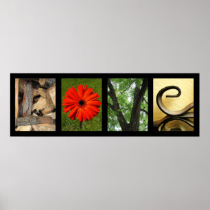 Affiches Copie créative d'art de photographie d'alphabet