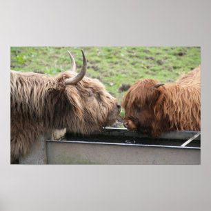 Affiches Copie d'affiche d'amour maternel