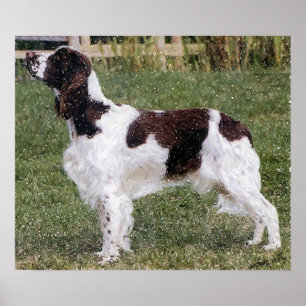 Affiches Copie d'affiche de portrait de chien d'épagneul d