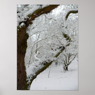 Affiches Copie d'affiche de scène de neige d'hiver