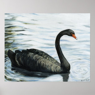 Affiches Copie d'art d'oiseau "de cygne noir"