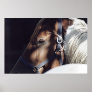 Affiches Copie de Dallas