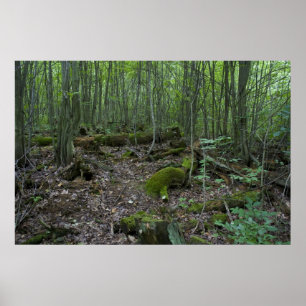 Affiches Copie de forêt du Michigan