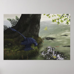 Affiches Copie de Microraptor Piscivory