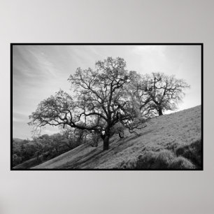 Affiches Copie de poésie d'arbre