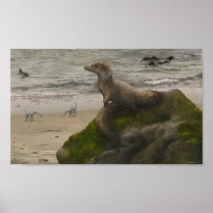 Affiches Copie de Sciurumimus