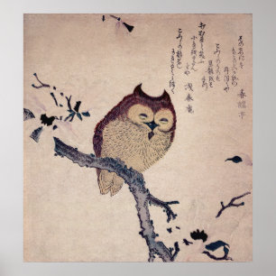 Affiches Copie de sourire mignonne de Japonais de hibou