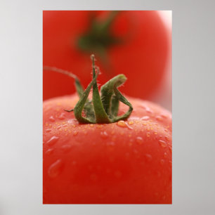 Affiches Copie de tomate