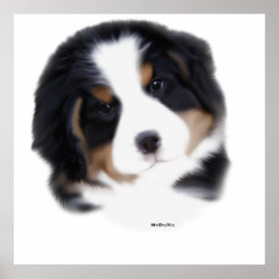 Affiches Copie de visage du bébé de MadDog