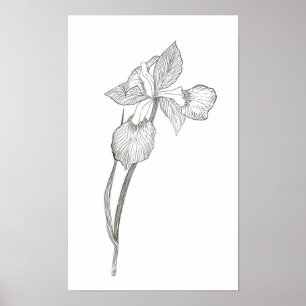 Affiches Copie d'iris