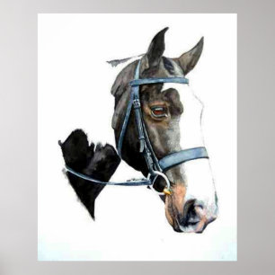 Affiches Copie lourde d'affiche de portrait de cheval de