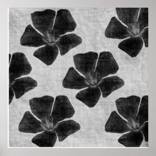 Affiches Copie noire de fleur