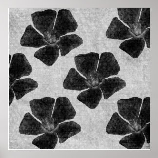 Affiches Copie noire de fleur