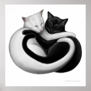 Affiches Copie noire et blanche de chats d'amour