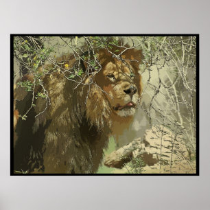 Affiches Copie - roi de la jungle