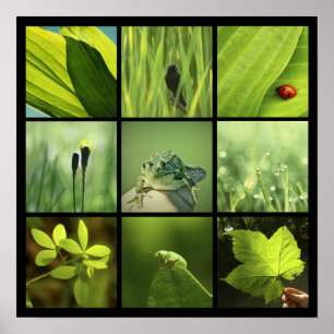 Affiches copie verte de photos de la nature 3x3