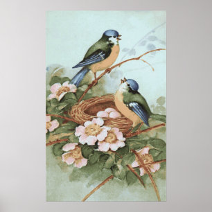 Affiches Copie vintage d'oiseaux