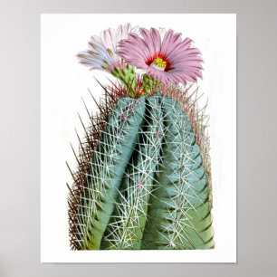 Affiches Copie vintage fleurissante d'histoire naturelle du