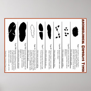 Affiches Coprolite archéologique dactylographie l'affiche