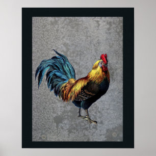 Affiches Coq Bantam coloré
