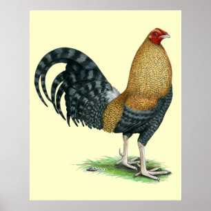 Affiches Coq de combat : Dom ou Crele